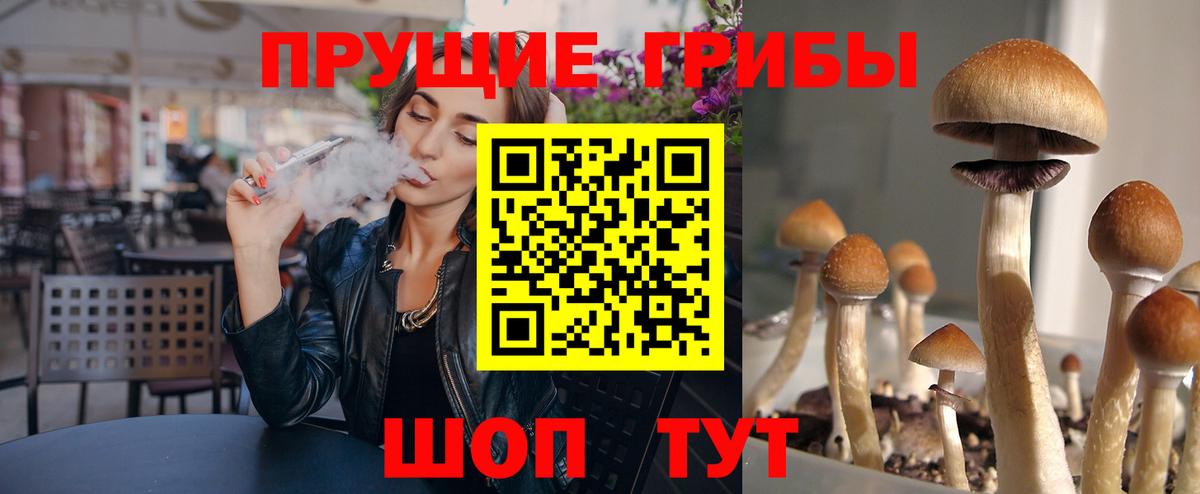 Орёл  Галлюциногенные грибы мицелий  где найти   Вход с VPN 